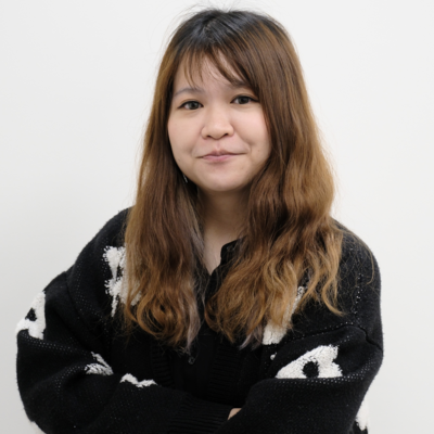 Program ManagerImage